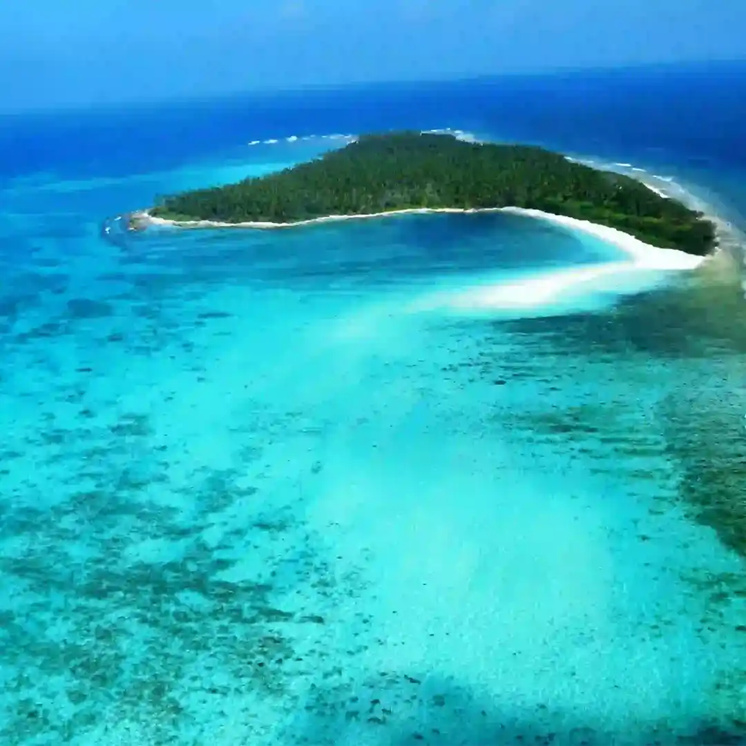 flyday tours and travels