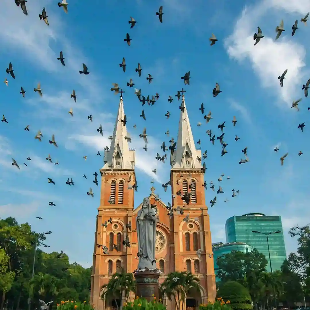 flyday tours and travels